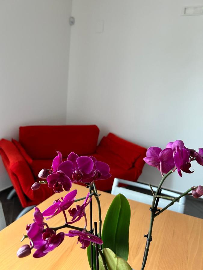 Apartament A Due Passi Da Corato Zewnętrze zdjęcie