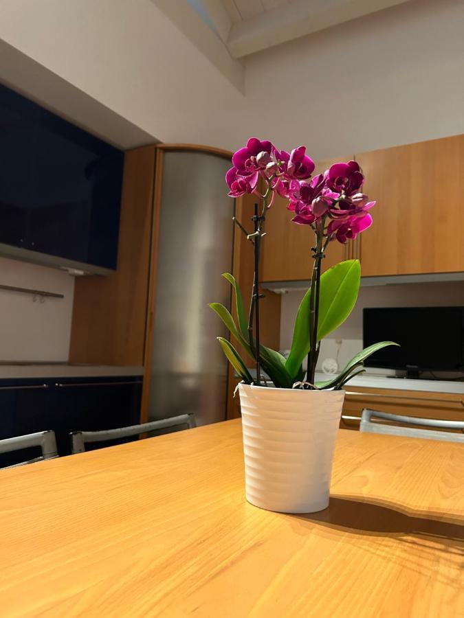 Apartament A Due Passi Da Corato Zewnętrze zdjęcie